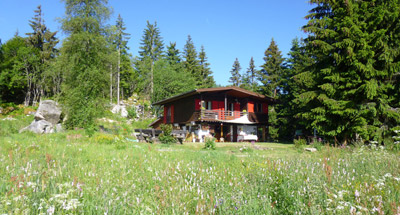 location chalet orbey